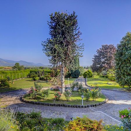 Villa Luce-Casa Vacanza Con Vista Panoramica Mare. ヴェッレトリ エクステリア 写真